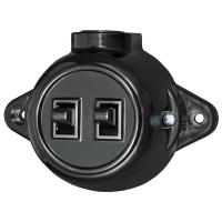 ANTIQUE TWO BUTTON ONE WAY SWITCH 10А 250V BLACK