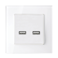 DOUBLE USB SOCKET GLASS FRAME WHITE                                                                                                                                                                                                                            