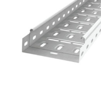 CT3 METAL CABLE TRAY H:60 W:300 T:0,8 L:3000                                                                                                                                                                                                                   