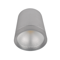 RDLOMCOB LED DOWNLIGHT 10W 2700K 60° 230V SILVER