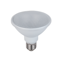 LEDCOB PAR30 15W E27 230V 6400K