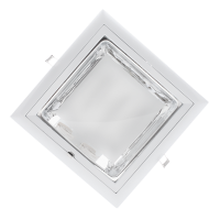 GL204 ЛУНА БЯЛА                                                                                                                                                                                                                                                